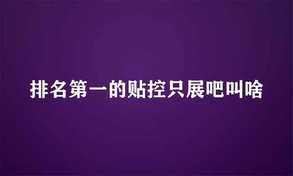 排名第一的贴控只展吧叫啥