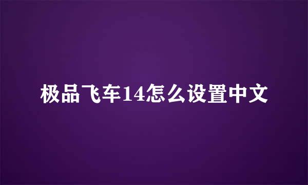 极品飞车14怎么设置中文