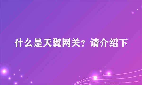 什么是天翼网关？请介绍下