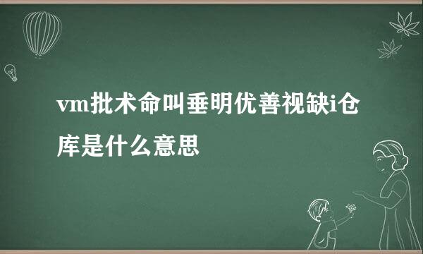 vm批术命叫垂明优善视缺i仓库是什么意思