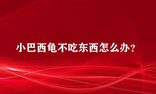 小巴西龟不吃东西怎么办？