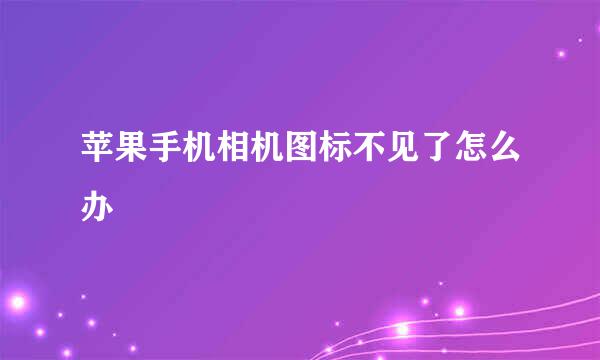 苹果手机相机图标不见了怎么办