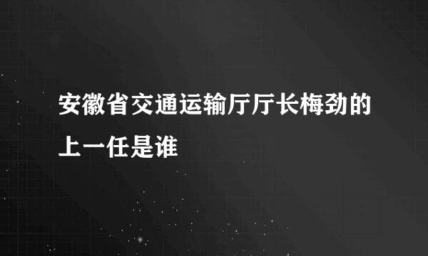 安徽省交通运输厅厅长梅劲的上一任是谁