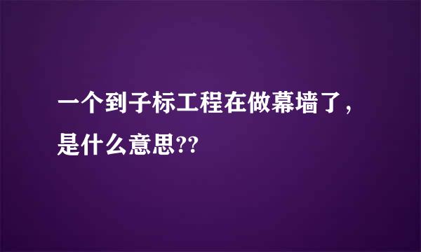 一个到子标工程在做幕墙了，是什么意思??