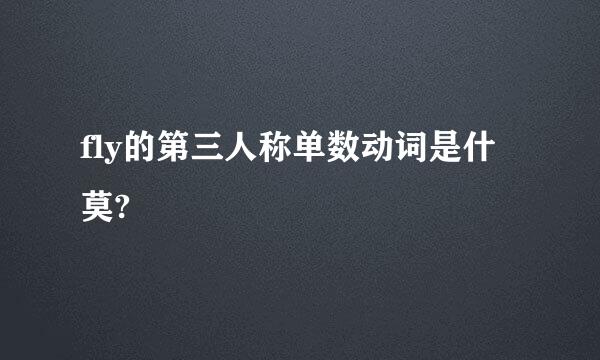 fly的第三人称单数动词是什莫?