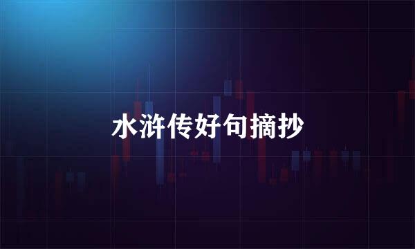 水浒传好句摘抄