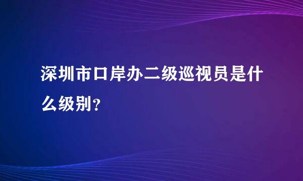 深圳市口岸办二级巡视员是什么级别？