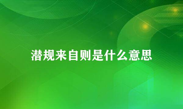 潜规来自则是什么意思