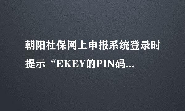 朝阳社保网上申报系统登录时提示“EKEY的PIN码口令错误，重试还剩下9次”，