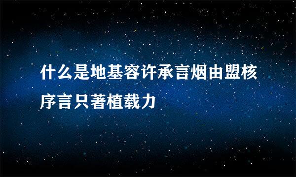 什么是地基容许承言烟由盟核序言只著植载力