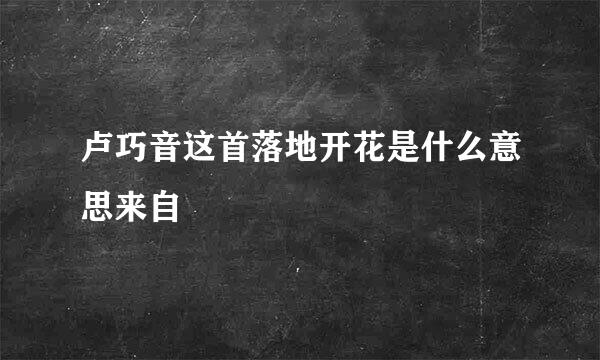 卢巧音这首落地开花是什么意思来自