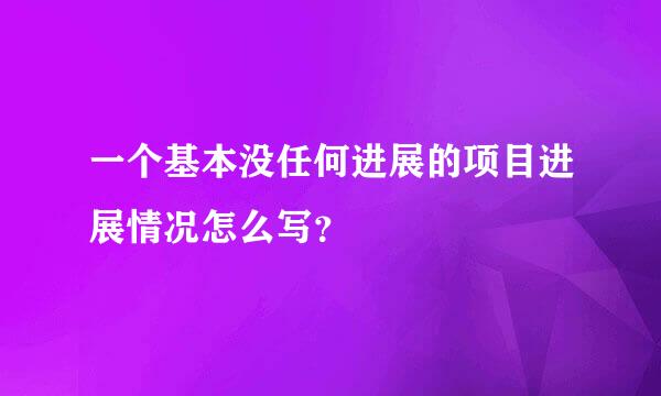 一个基本没任何进展的项目进展情况怎么写？