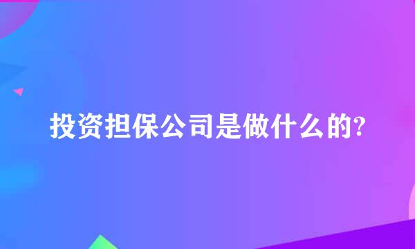 投资担保公司是做什么的?