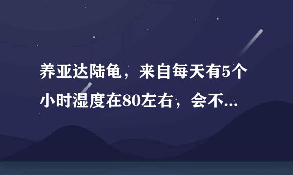 养亚达陆龟，来自每天有5个小时湿度在80左右，会不会影响世取叫划稳义流育目曲龟的健康？