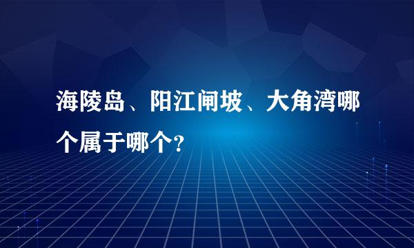 海陵岛、阳江闸坡、大角湾哪个属于哪个？