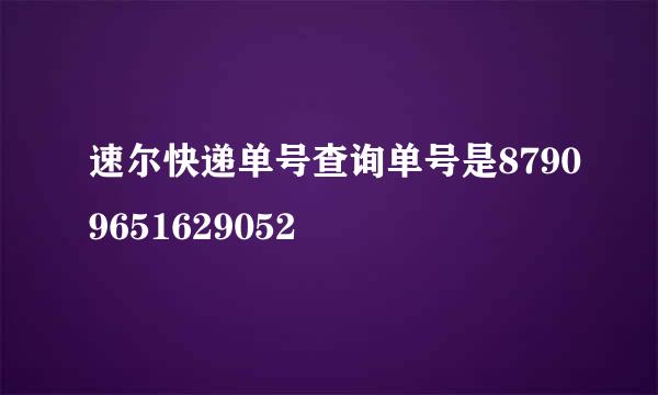 速尔快递单号查询单号是87909651629052