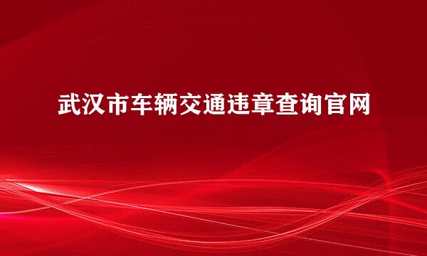 武汉市车辆交通违章查询官网