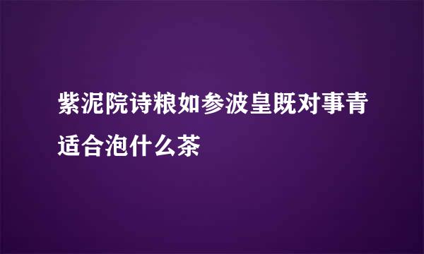 紫泥院诗粮如参波皇既对事青适合泡什么茶