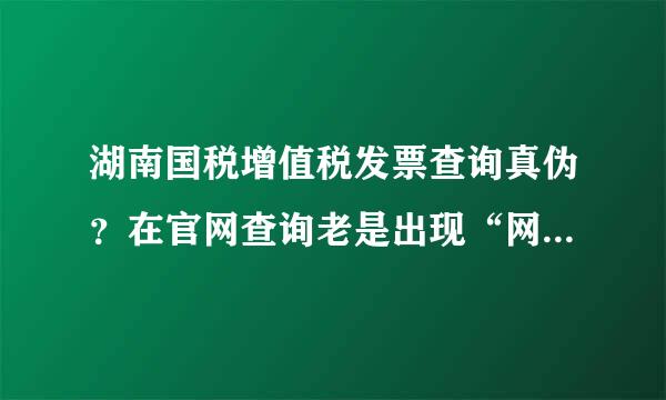 湖南国税增值税发票查询真伪？在官网查询老是出现“网络或服务出现异常，请稍后再试”。