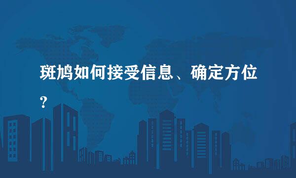 斑鸠如何接受信息、确定方位?