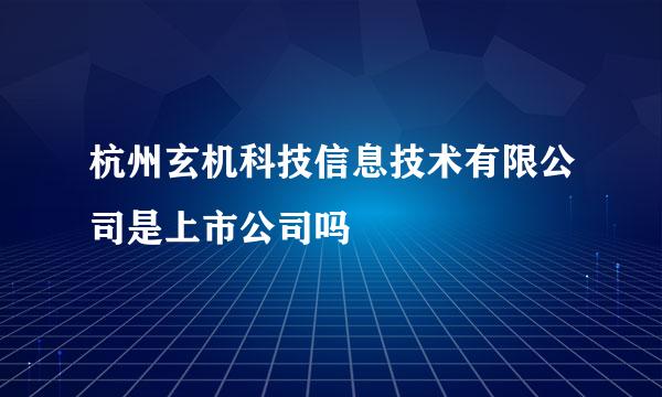 杭州玄机科技信息技术有限公司是上市公司吗