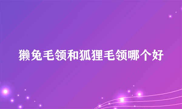 獭兔毛领和狐狸毛领哪个好