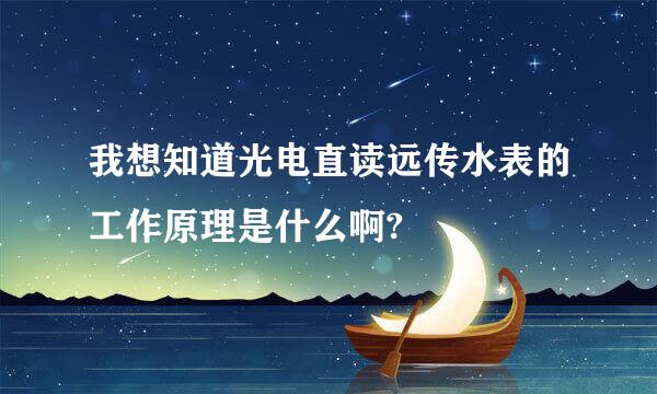 我想知道光电直读远传水表的工作原理是什么啊?