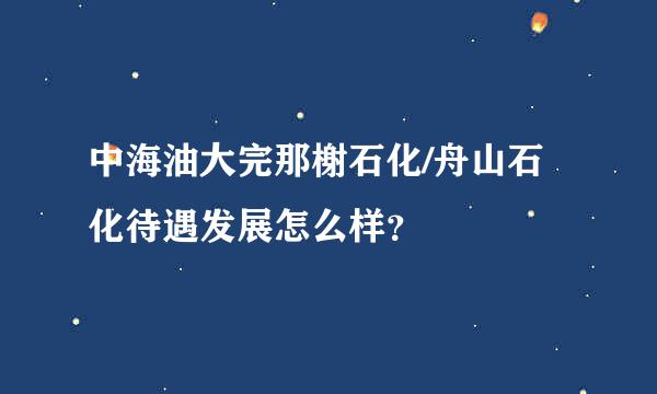 中海油大完那榭石化/舟山石化待遇发展怎么样？