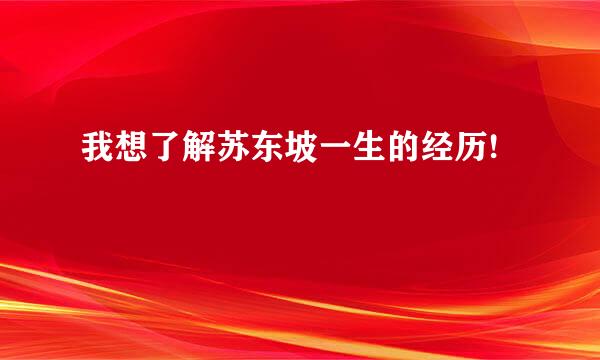 我想了解苏东坡一生的经历!