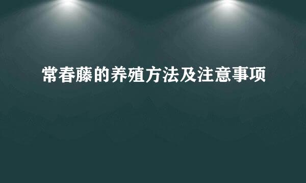 常春藤的养殖方法及注意事项