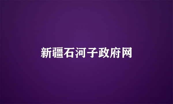 新疆石河子政府网