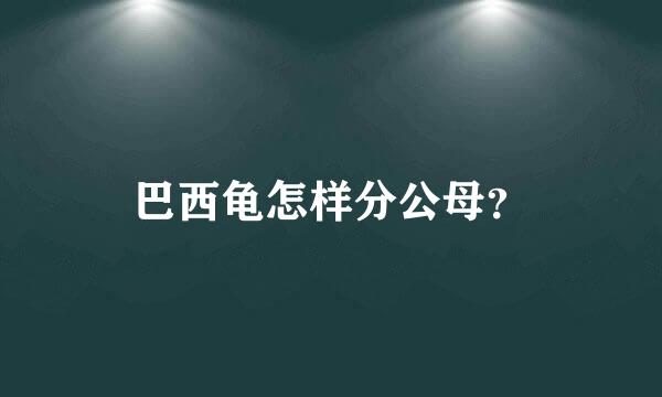 巴西龟怎样分公母？