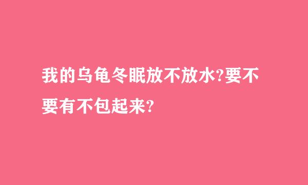 我的乌龟冬眠放不放水?要不要有不包起来?