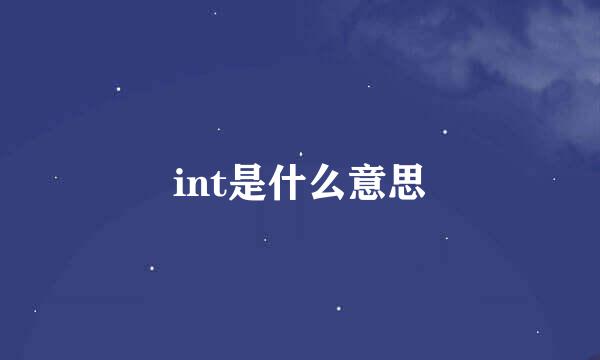 int是什么意思