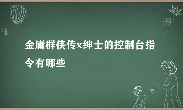 金庸群侠传x绅士的控制台指令有哪些