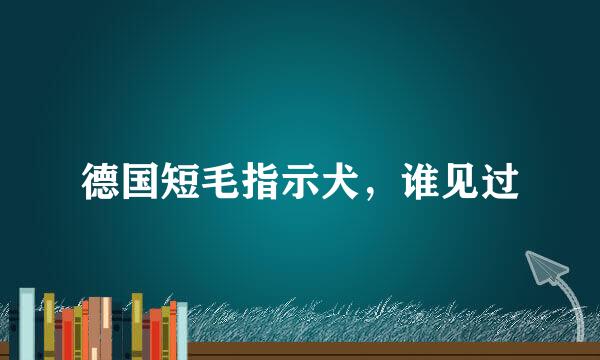 德国短毛指示犬，谁见过