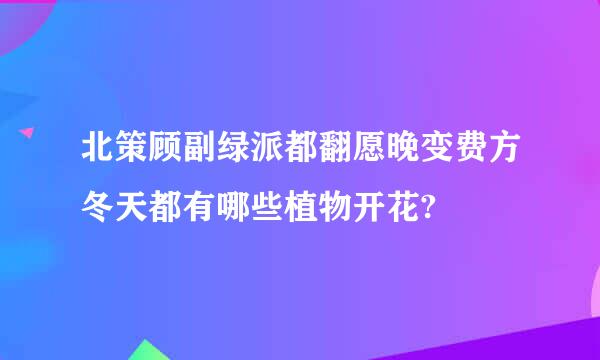 北策顾副绿派都翻愿晚变费方冬天都有哪些植物开花?