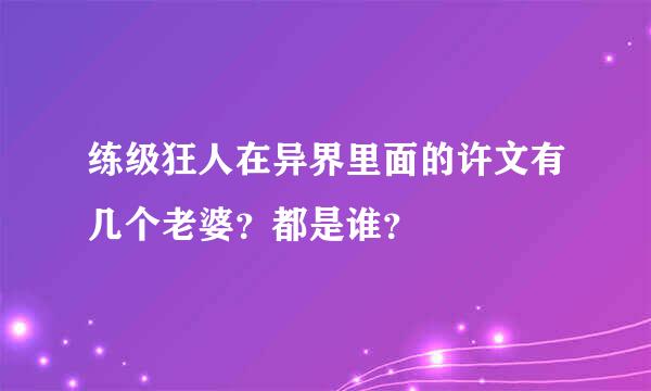 练级狂人在异界里面的许文有几个老婆？都是谁？