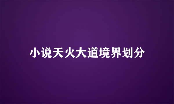 小说天火大道境界划分