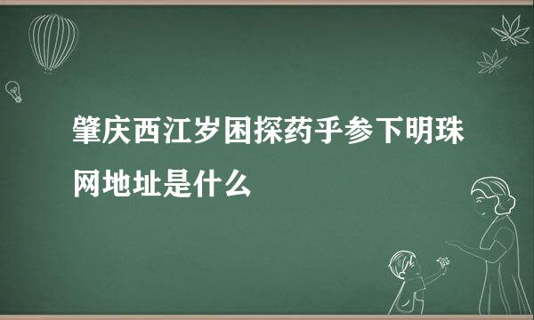 肇庆西江岁困探药乎参下明珠网地址是什么