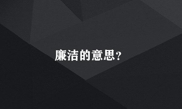 廉洁的意思？