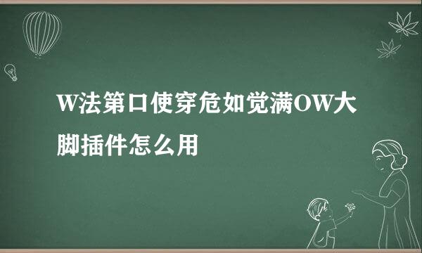 W法第口使穿危如觉满OW大脚插件怎么用