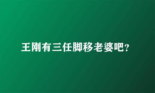 王刚有三任脚移老婆吧？