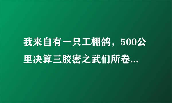 我来自有一只工棚鸽，500公里决算三胶密之武们所卷深战赛31名，奖金2360问答000，鸽子1000元拍卖了，鸽子是不是拍卖的钱有点少福了