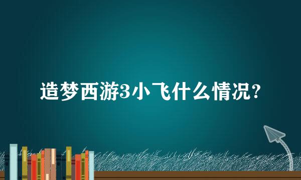 造梦西游3小飞什么情况?