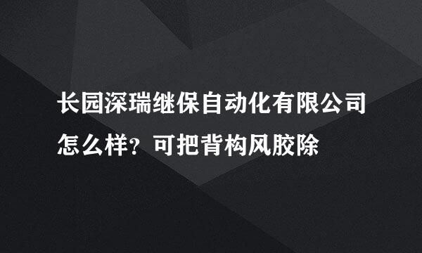 长园深瑞继保自动化有限公司怎么样？可把背构风胶除