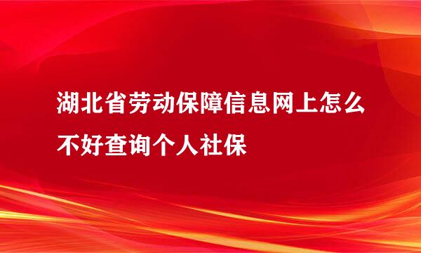 湖北省劳动保障信息网上怎么不好查询个人社保