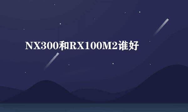 NX300和RX100M2谁好