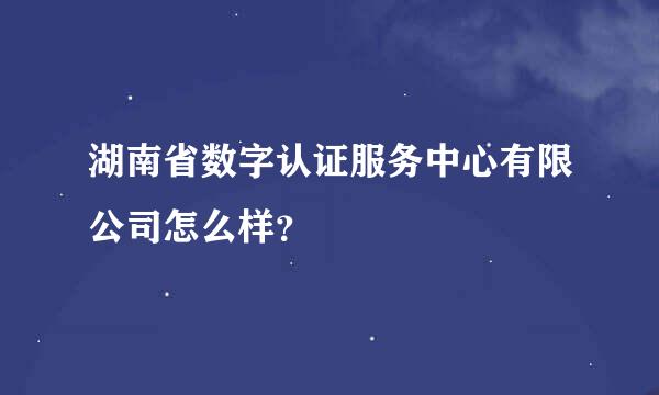 湖南省数字认证服务中心有限公司怎么样？