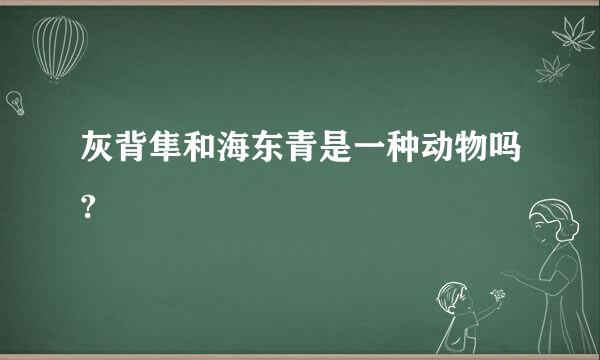 灰背隼和海东青是一种动物吗?